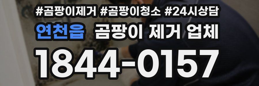 연천읍 곰팡이 제거 업체