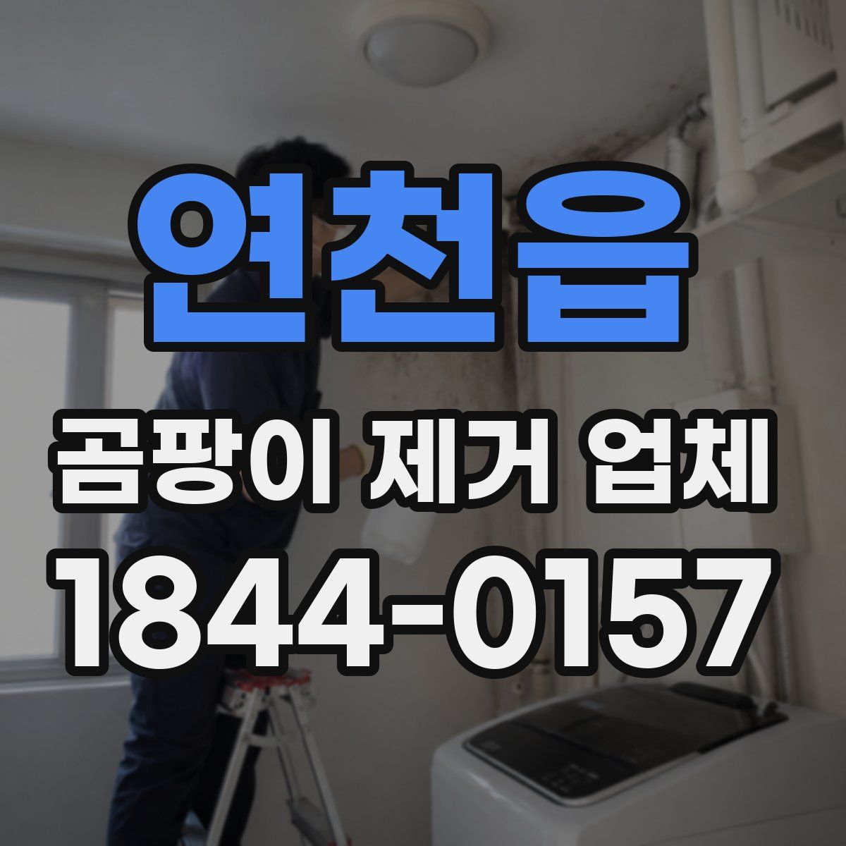 연천읍 곰팡이 제거 업체