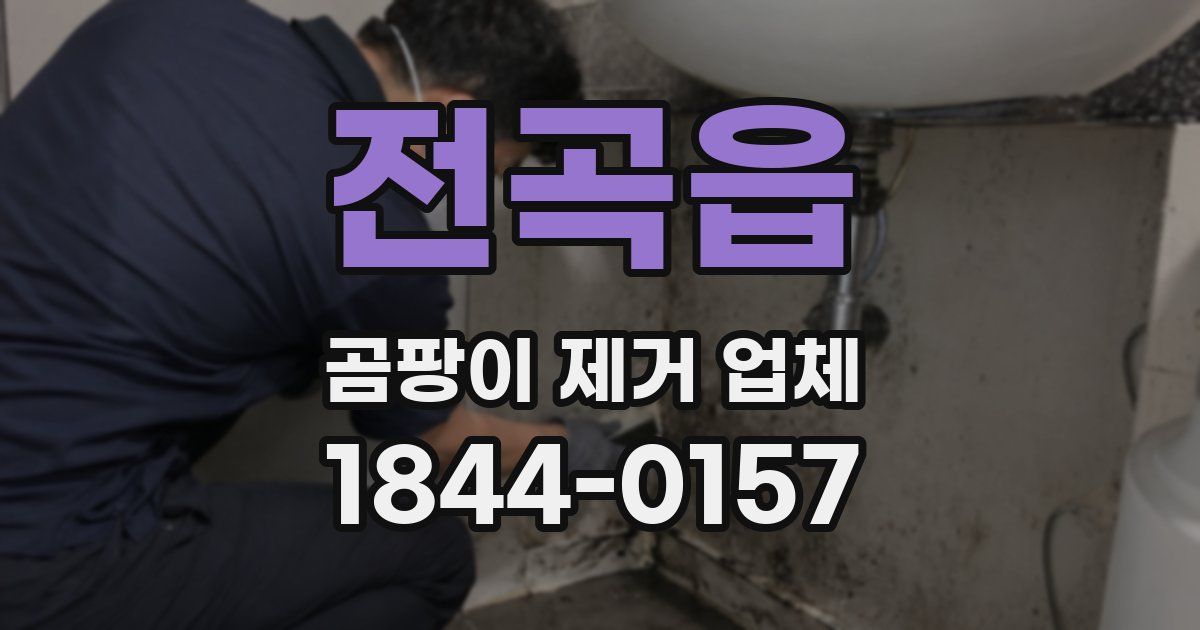 전곡읍 곰팡이 제거 업체