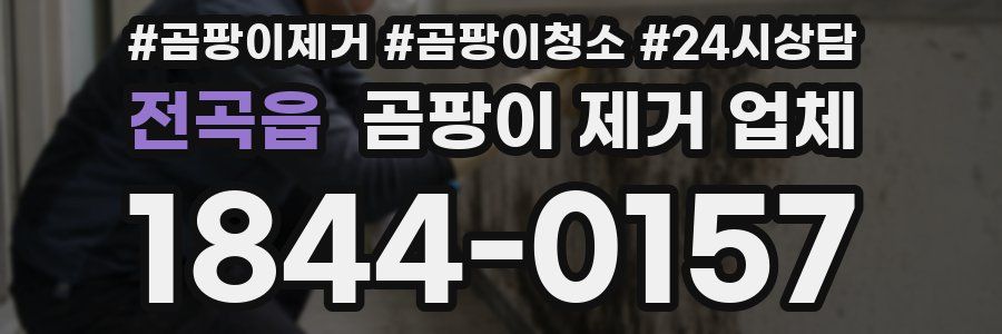 전곡읍 곰팡이 제거 업체