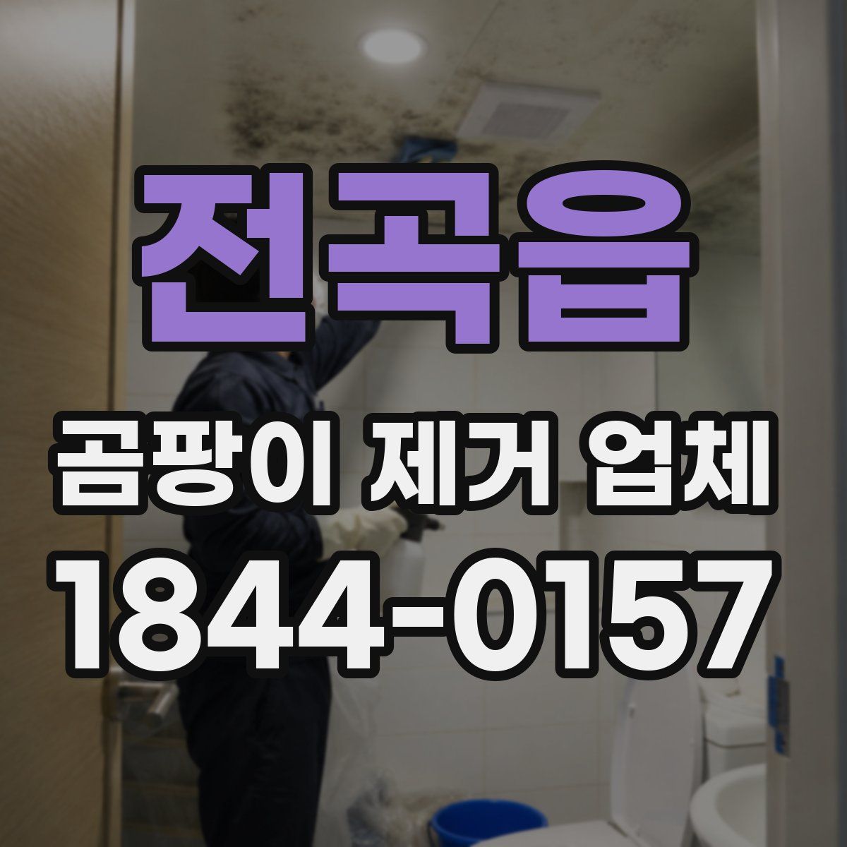 전곡읍 곰팡이 제거 업체