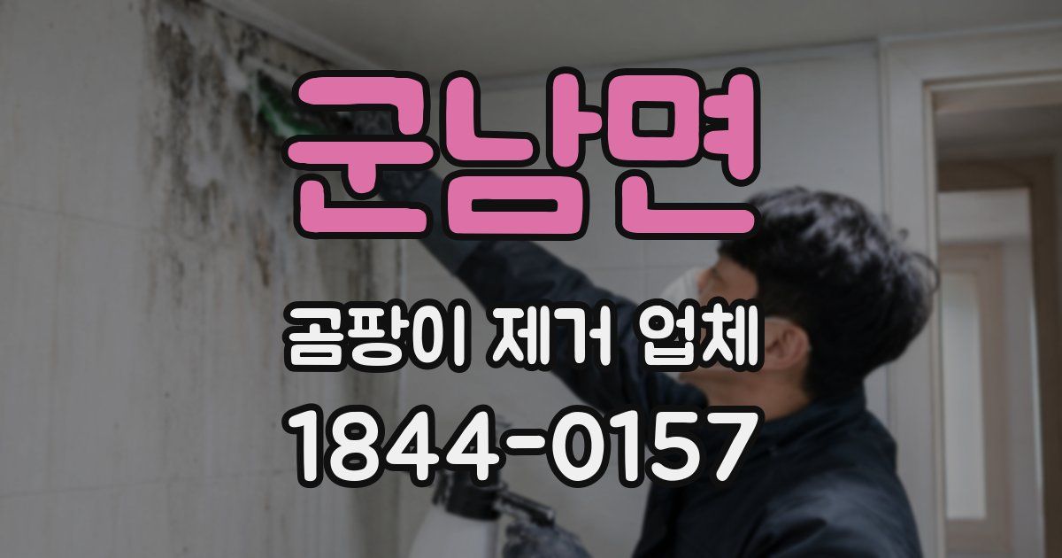군남면 곰팡이 제거 업체