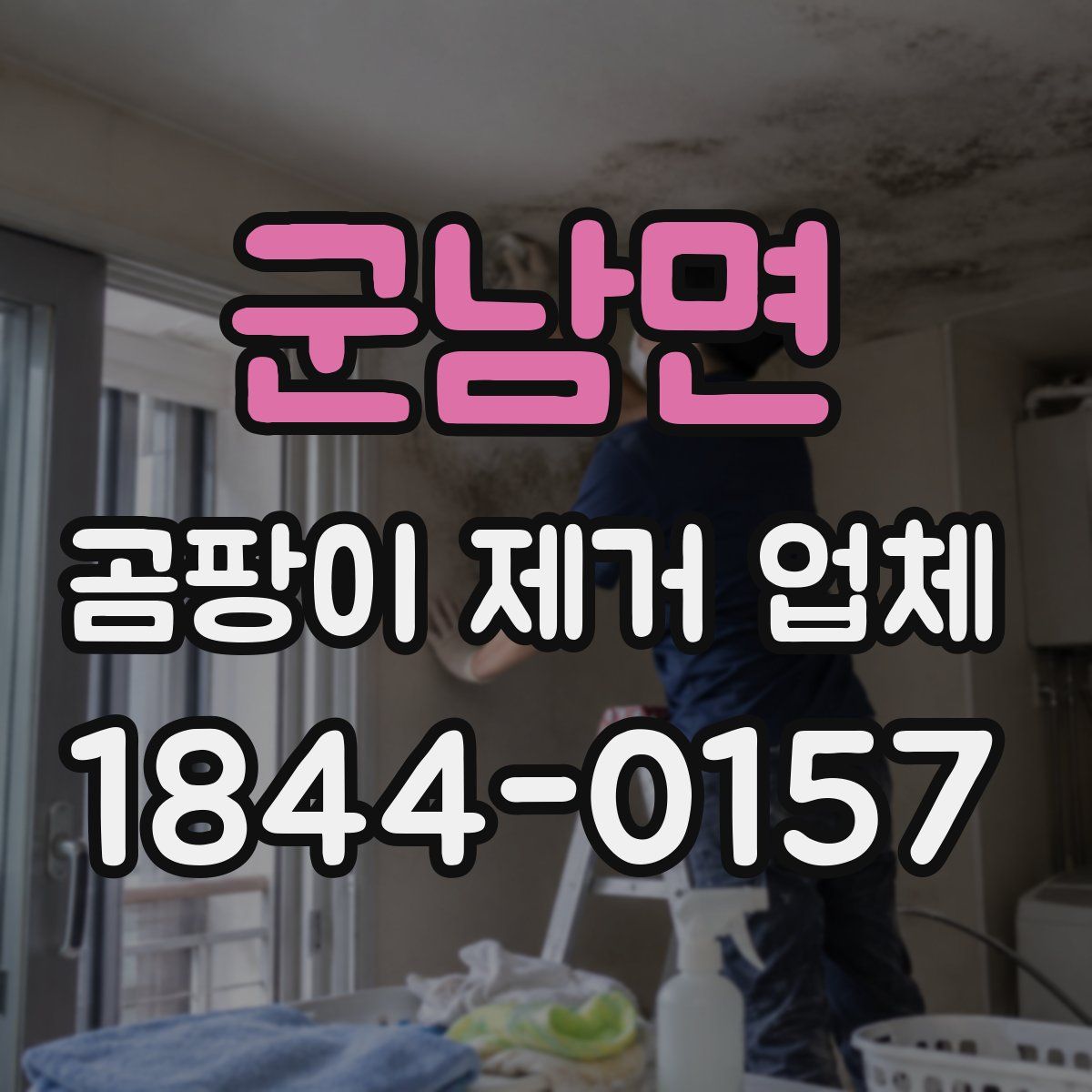 군남면 곰팡이 제거 업체