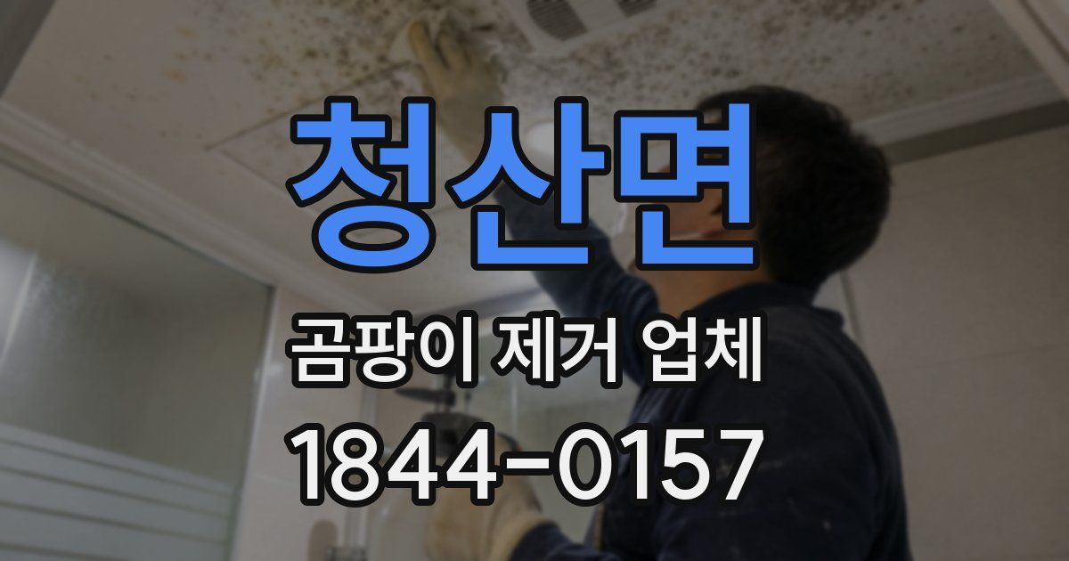 청산면 곰팡이 제거 업체