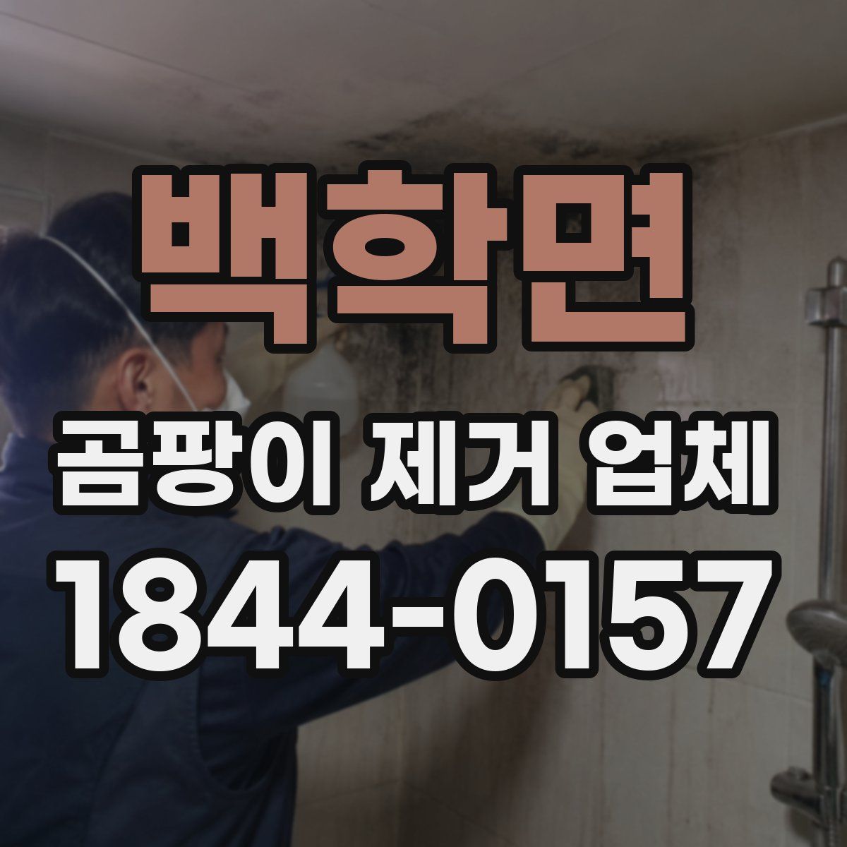 백학면 곰팡이 제거 업체