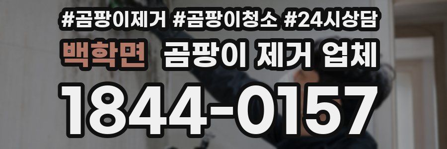 백학면 곰팡이 제거 업체