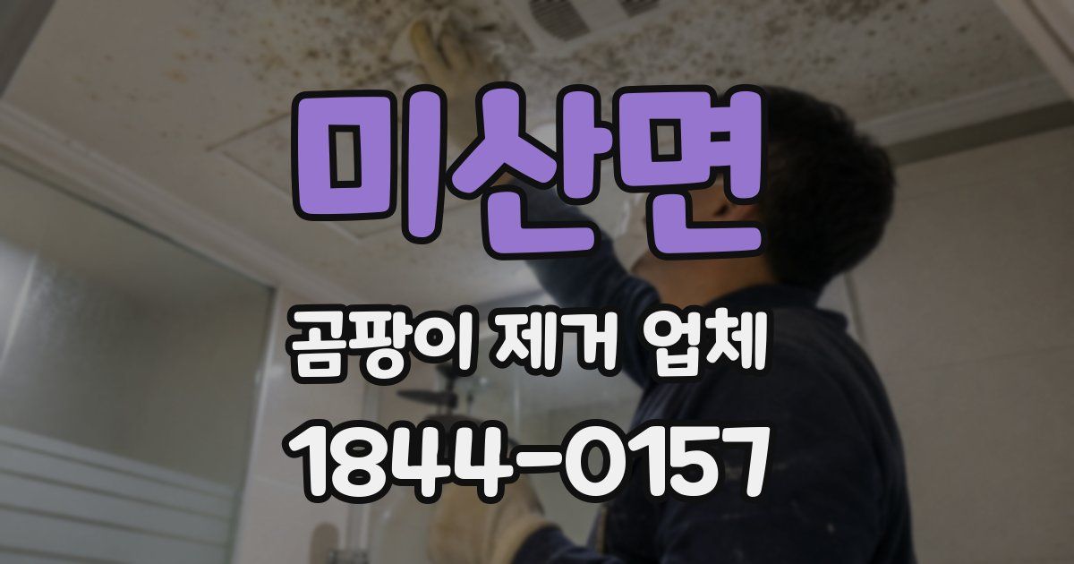 미산면 곰팡이 제거 업체