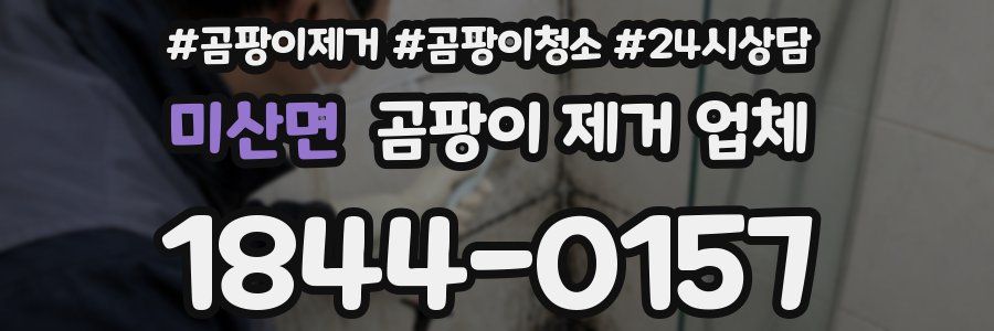 미산면 곰팡이 제거 업체