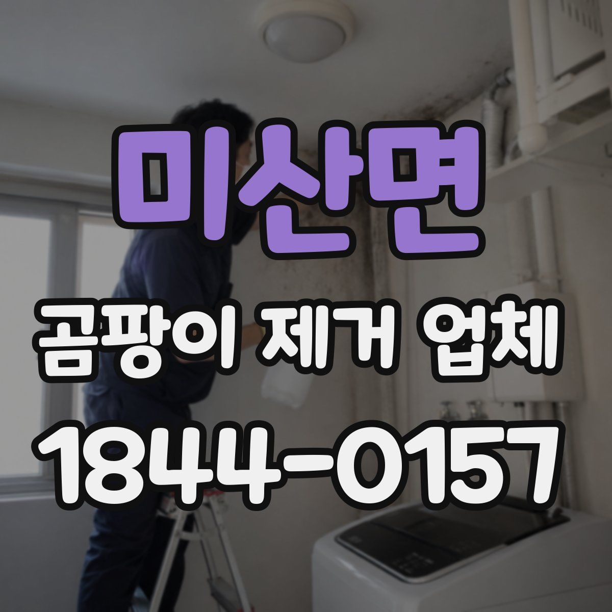 미산면 곰팡이 제거 업체
