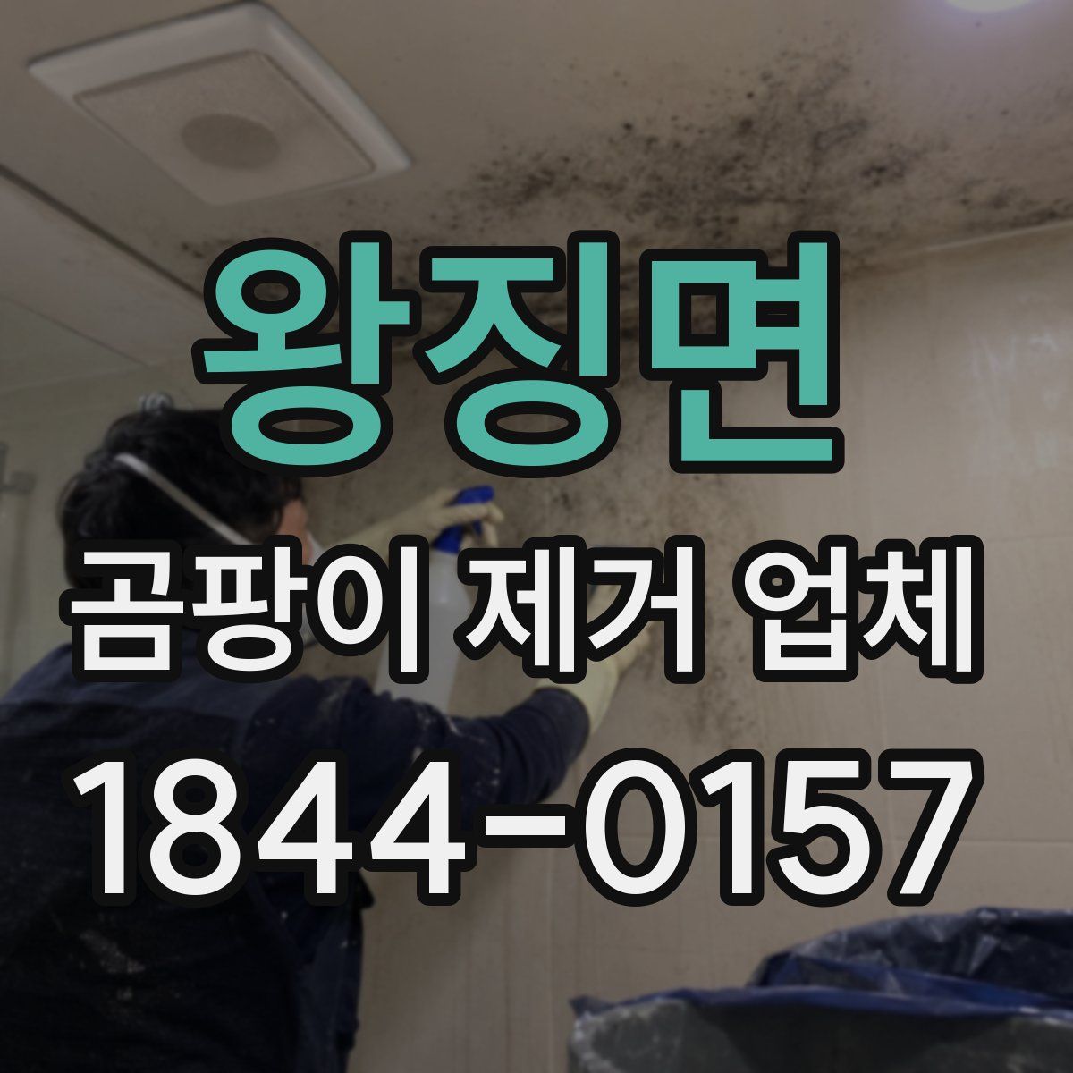 왕징면 곰팡이 제거 업체