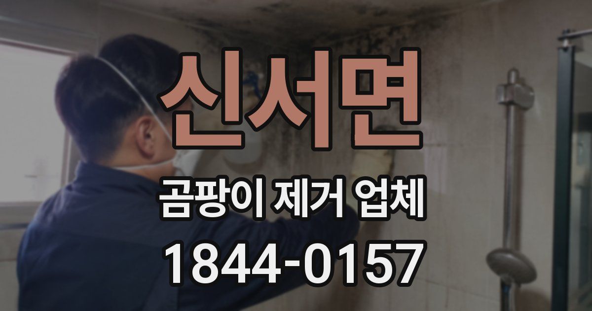 신서면 곰팡이 제거 업체