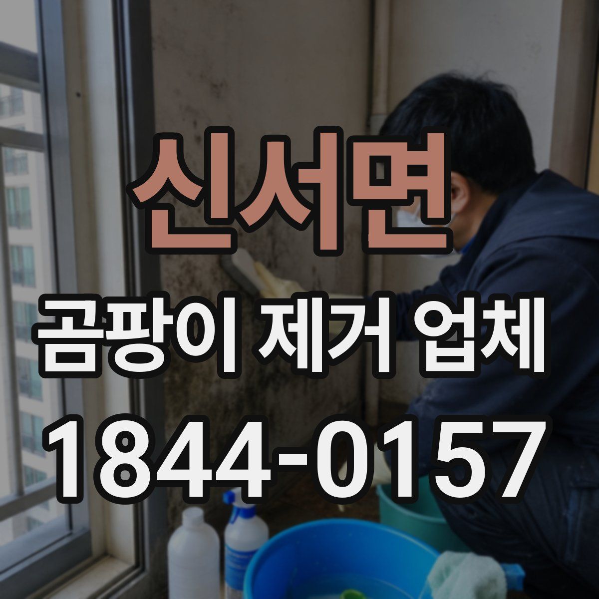 신서면 곰팡이 제거 업체