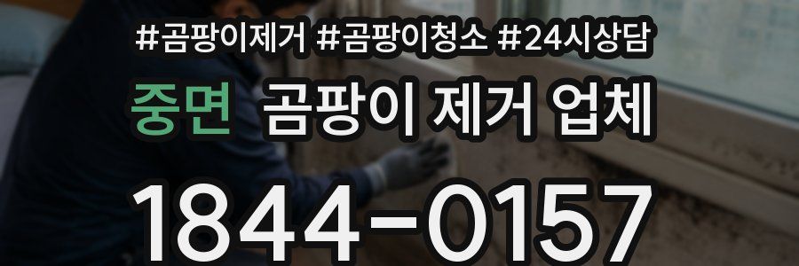 중면 곰팡이 제거 업체