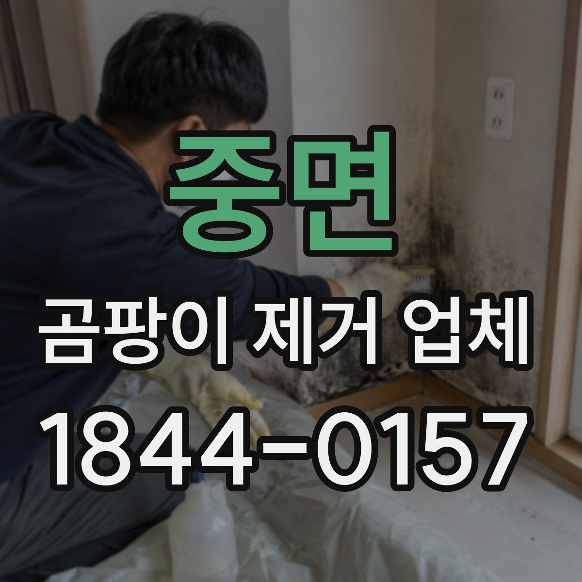 중면 곰팡이 제거 업체
