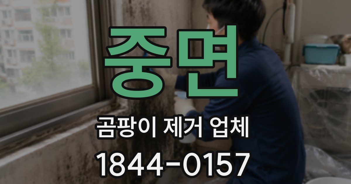 중면 곰팡이 제거 업체
