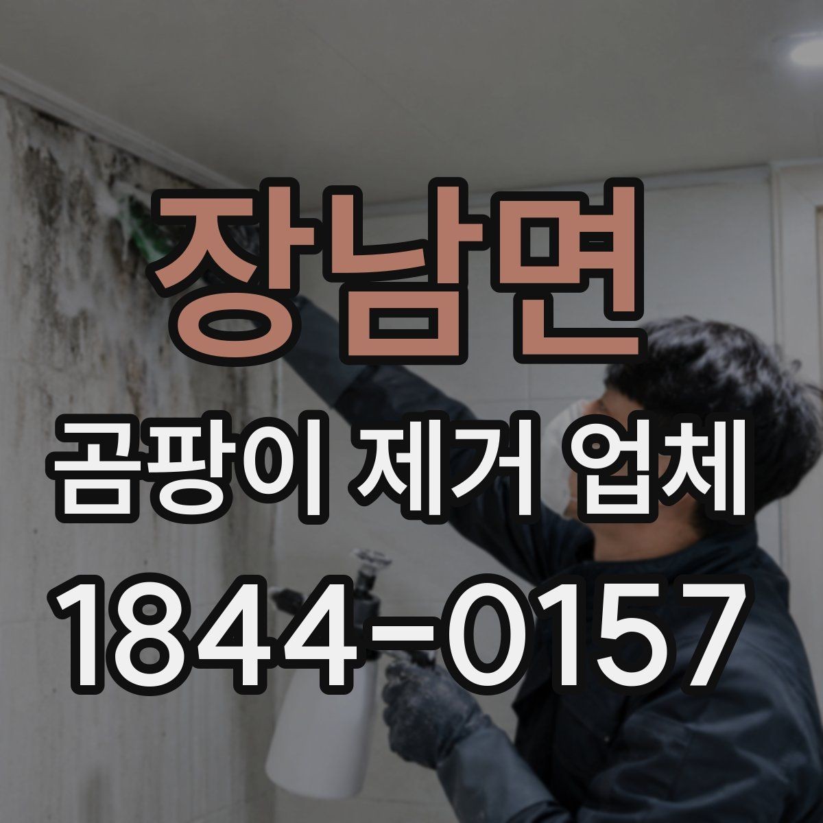 장남면 곰팡이 제거 업체 욕실 실리콘 오염을 다루는 기준