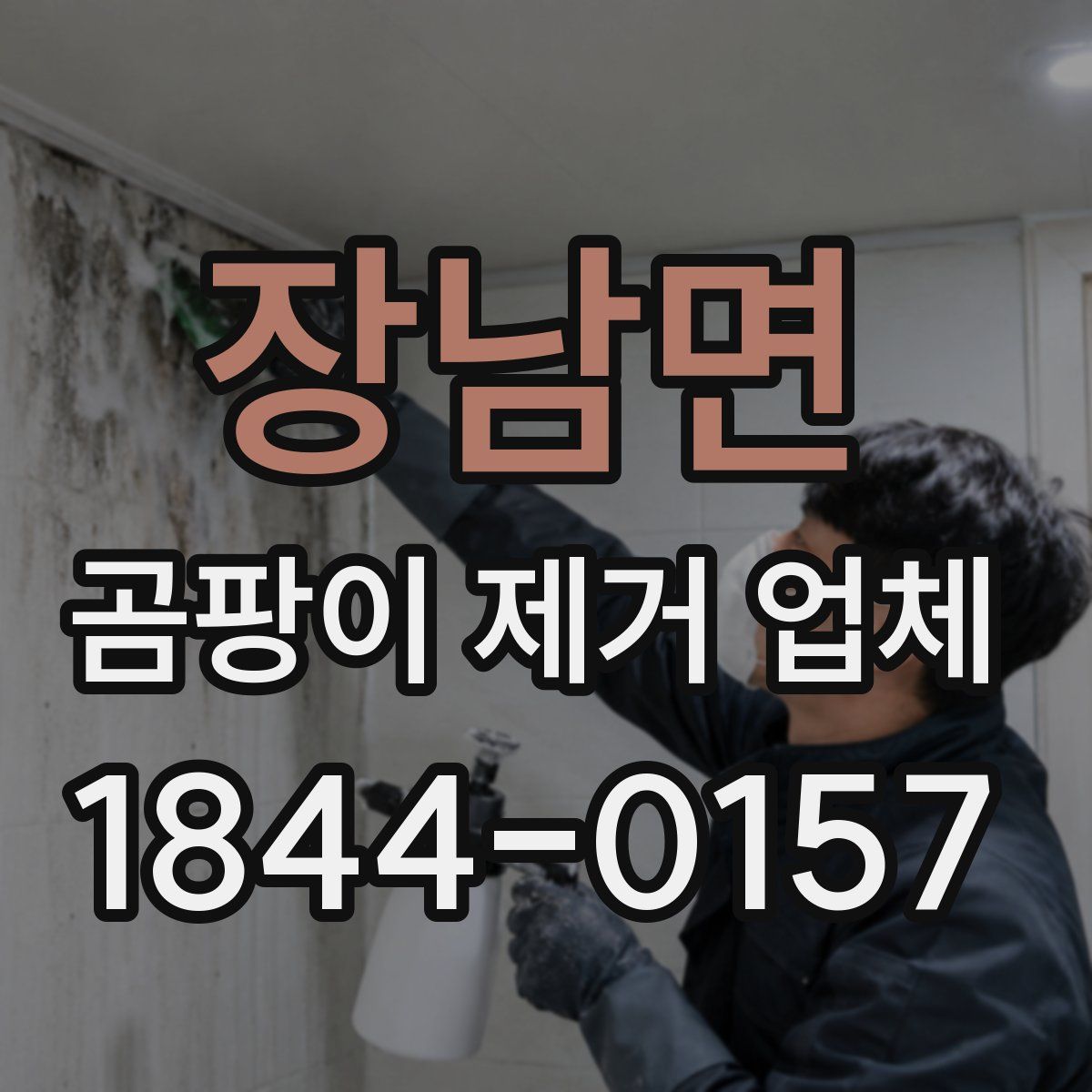 장남면 곰팡이 제거 업체