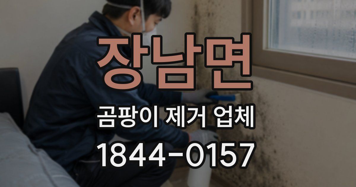 장남면 곰팡이 제거 업체