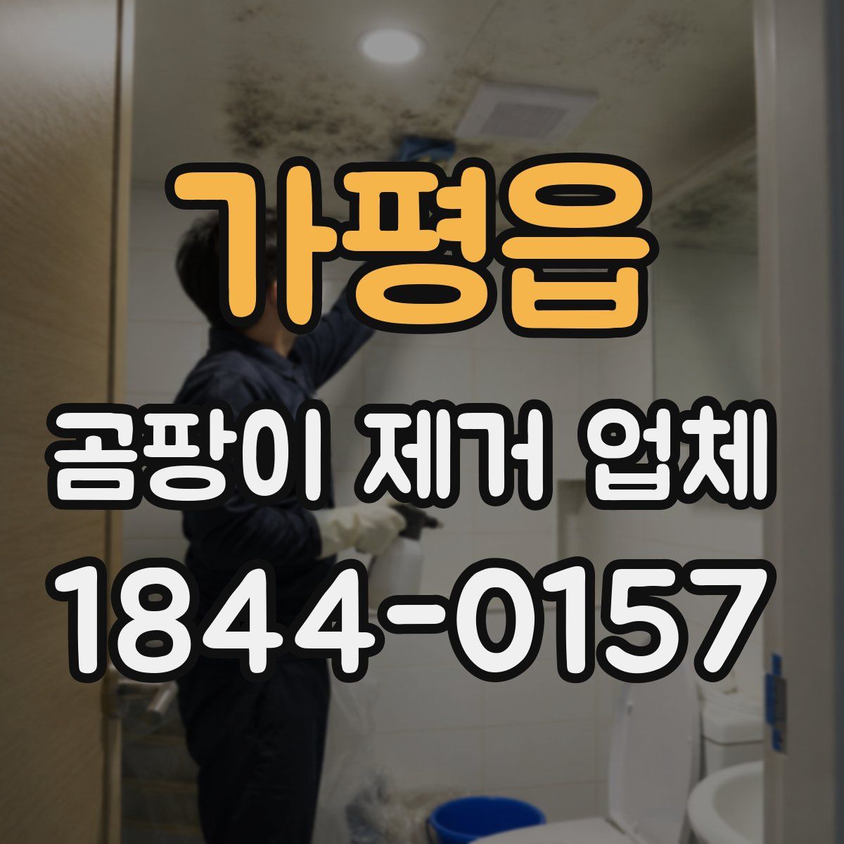 가평읍 곰팡이 제거 업체