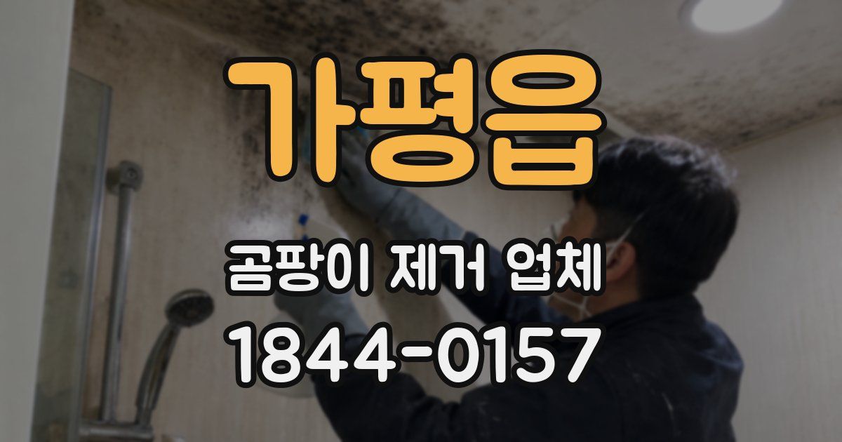가평읍 곰팡이 제거 업체