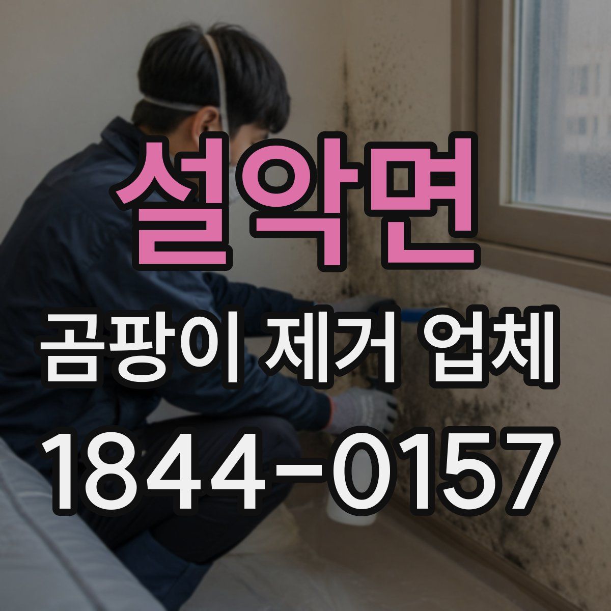 설악면 곰팡이 제거 업체