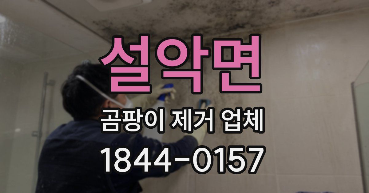설악면 곰팡이 제거 업체