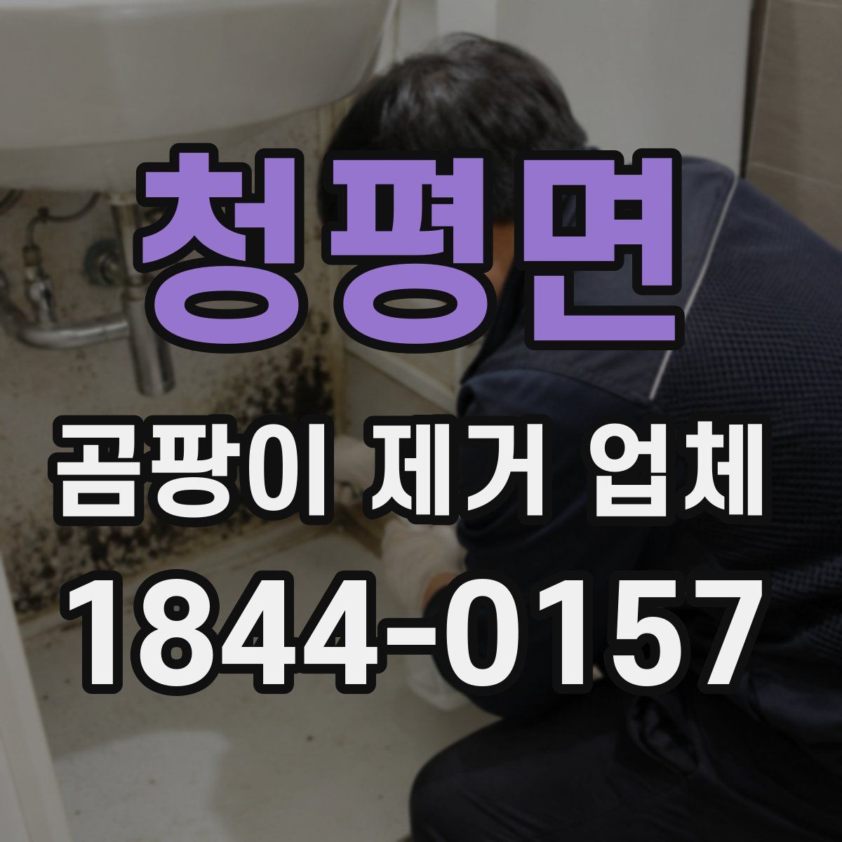 청평면 곰팡이 제거 업체