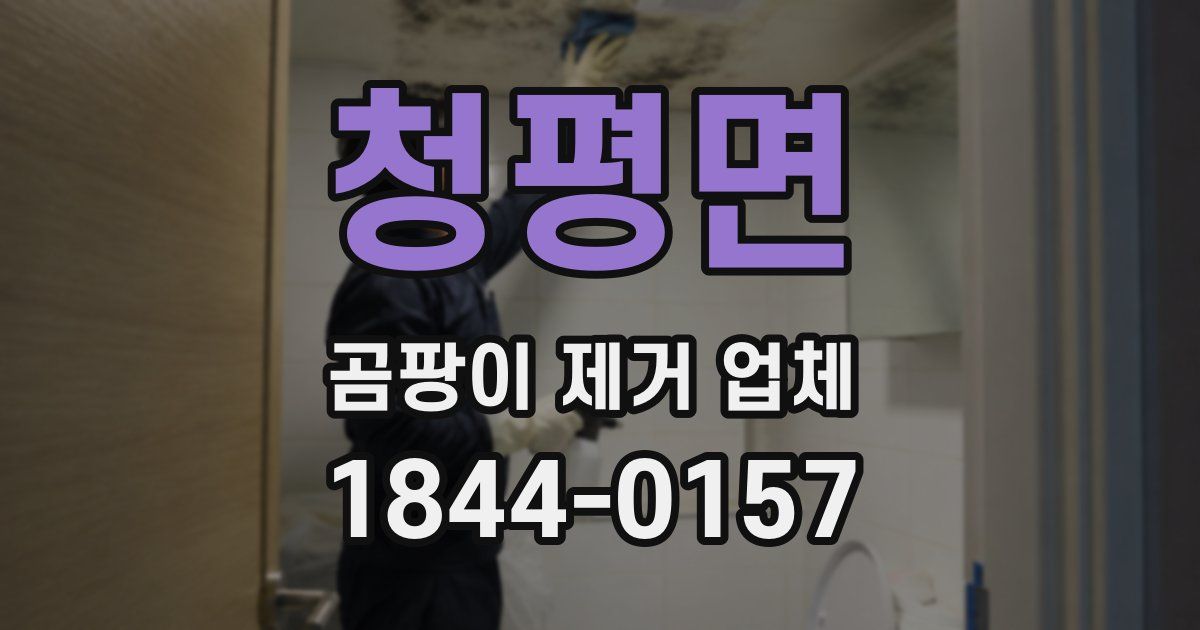 청평면 곰팡이 제거 업체