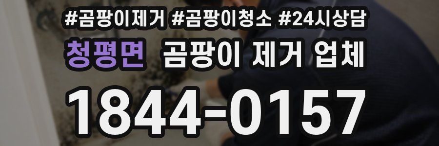 청평면 곰팡이 제거 업체