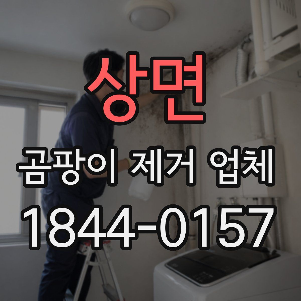 상면 곰팡이 제거 업체