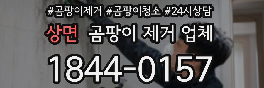 상면 곰팡이 제거 업체