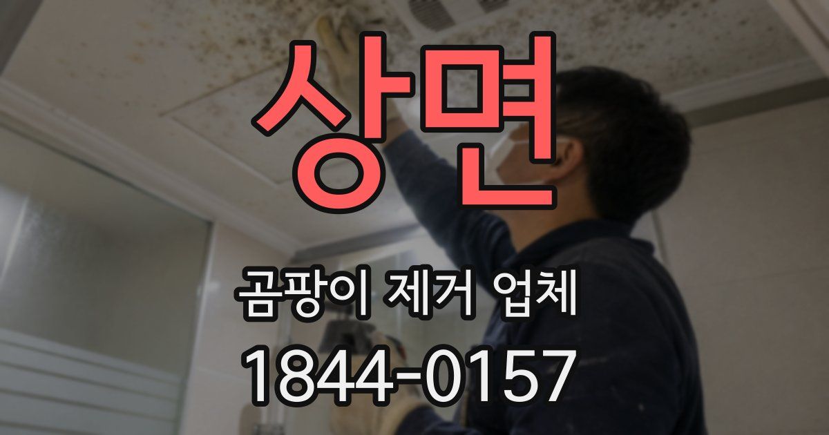상면 곰팡이 제거 업체