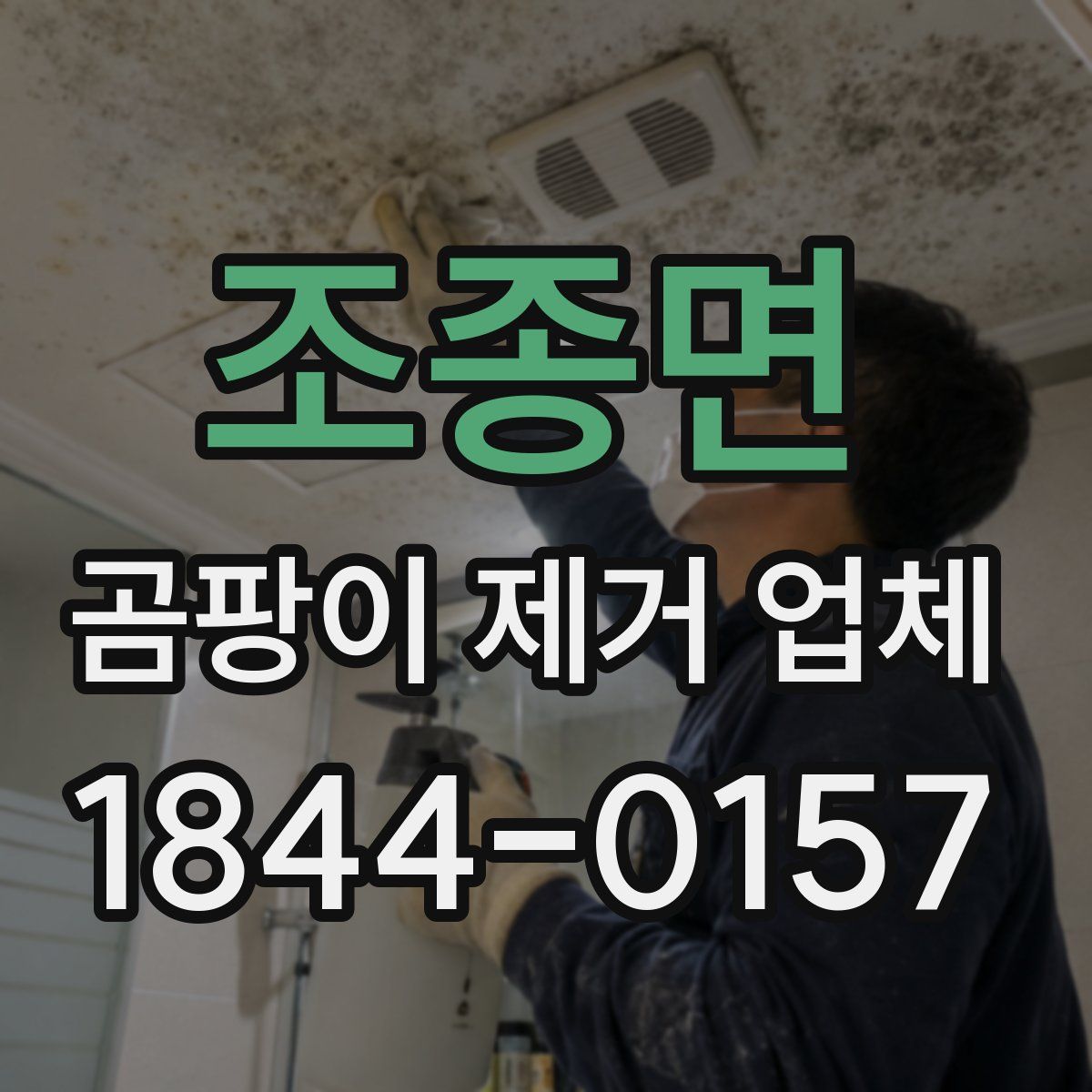 조종면 곰팡이 제거 업체
