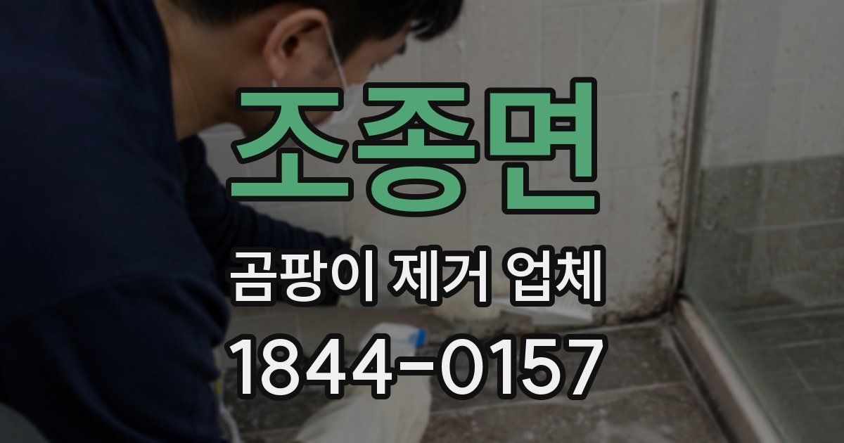 조종면 곰팡이 제거 업체