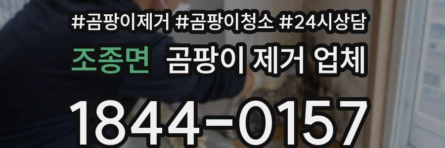 조종면 곰팡이 제거 업체
