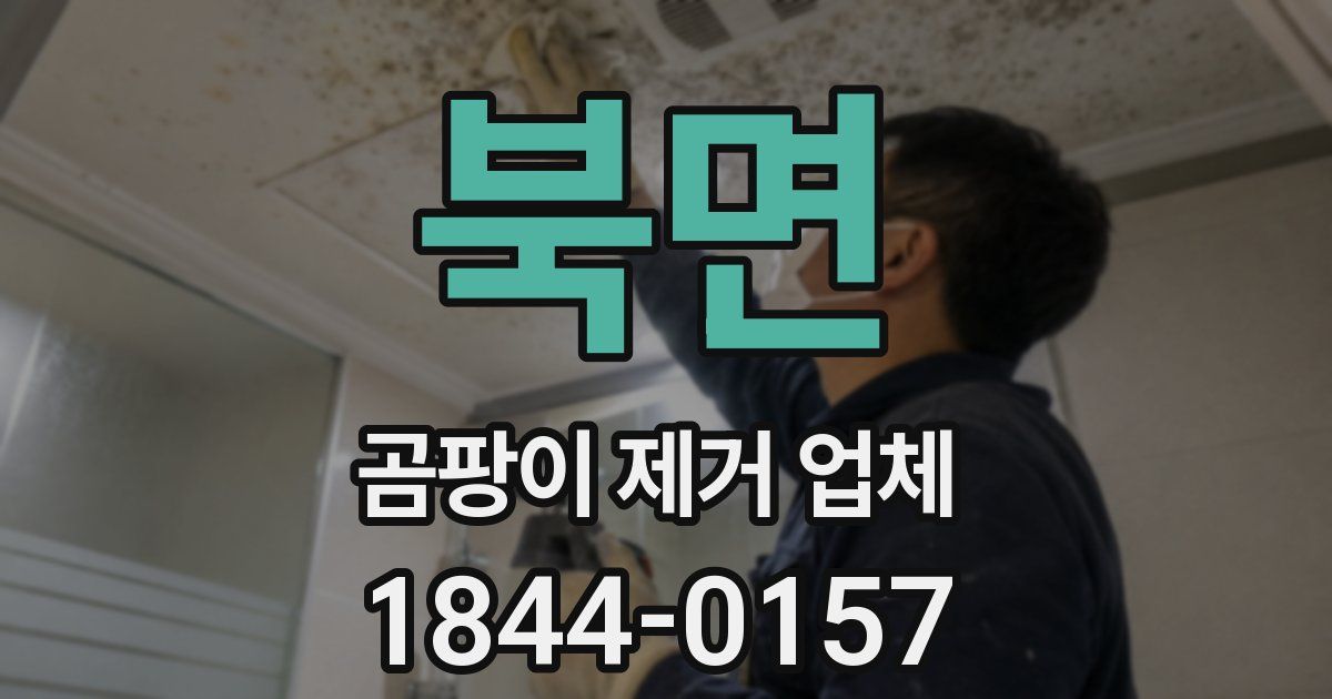 북면 곰팡이 제거 업체