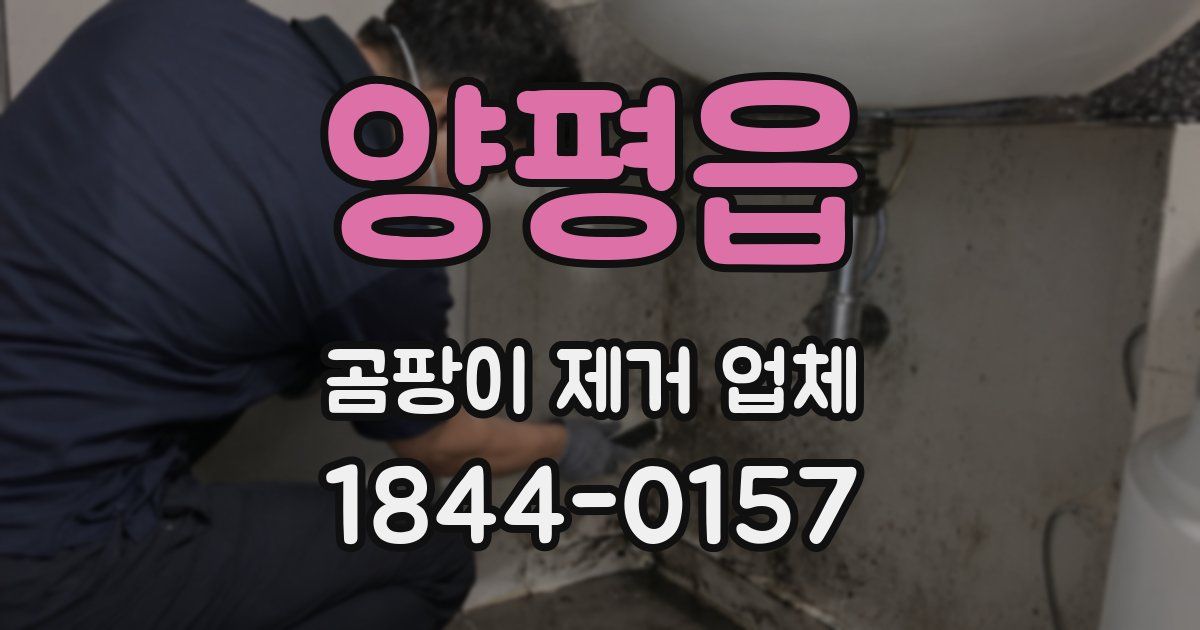 양평읍 곰팡이 제거 업체