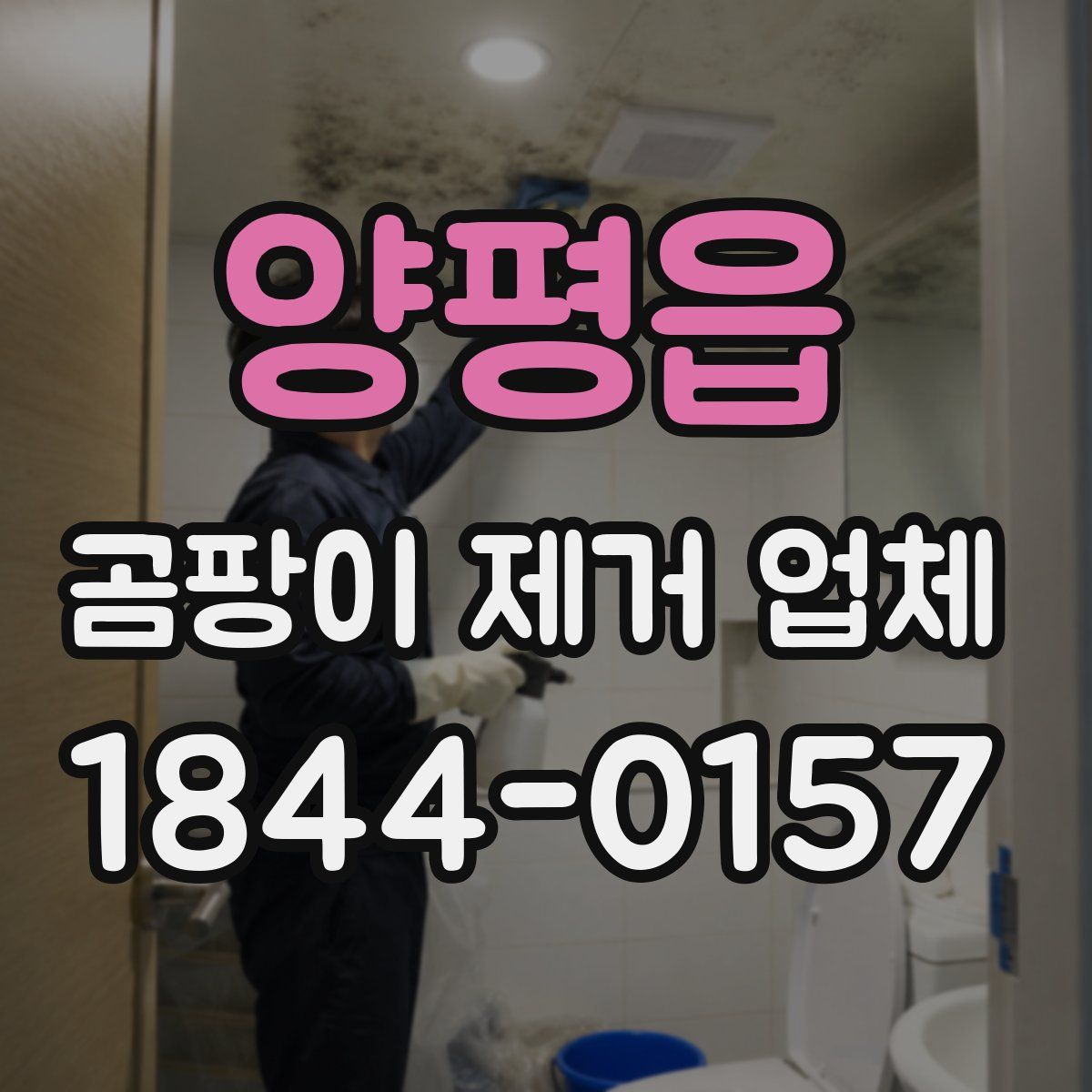 양평읍 곰팡이 제거 업체