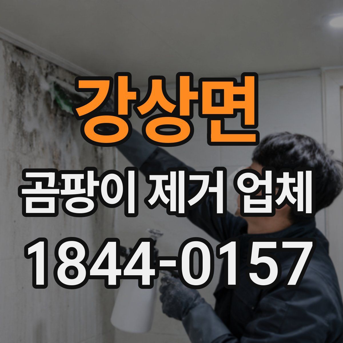 강상면 곰팡이 제거 업체