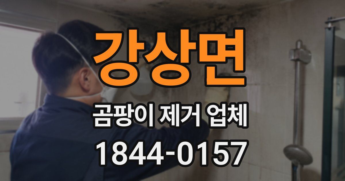 강상면 곰팡이 제거 업체