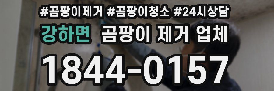 강하면 곰팡이 제거 업체