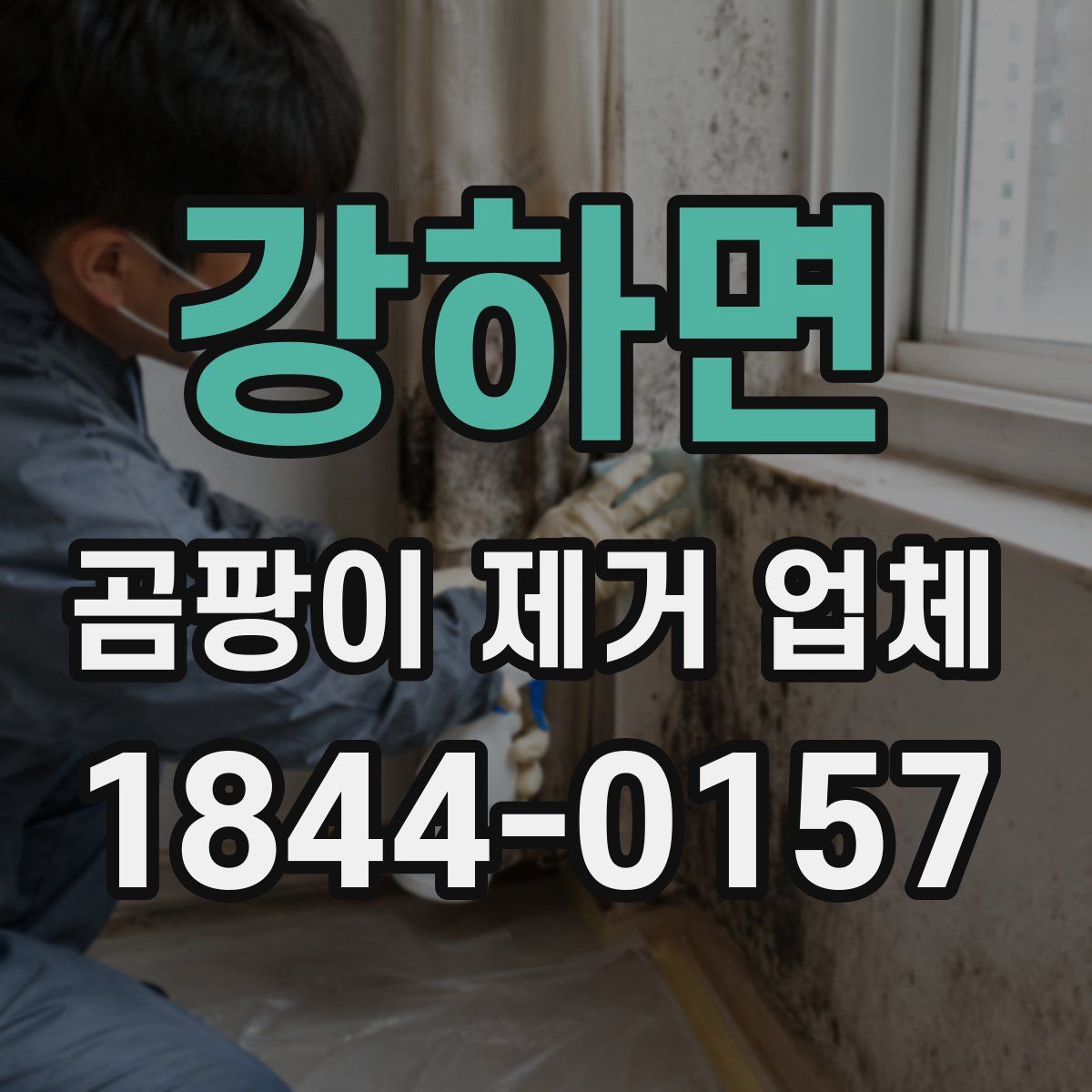 강하면 곰팡이 제거 업체