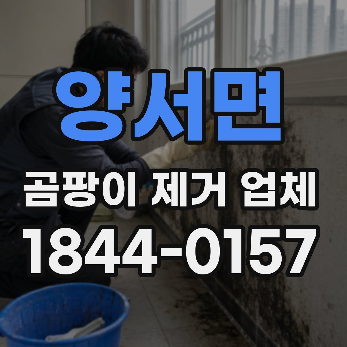 양서면 곰팡이 제거 업체