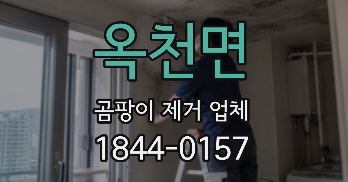 옥천면 곰팡이 제거 업체