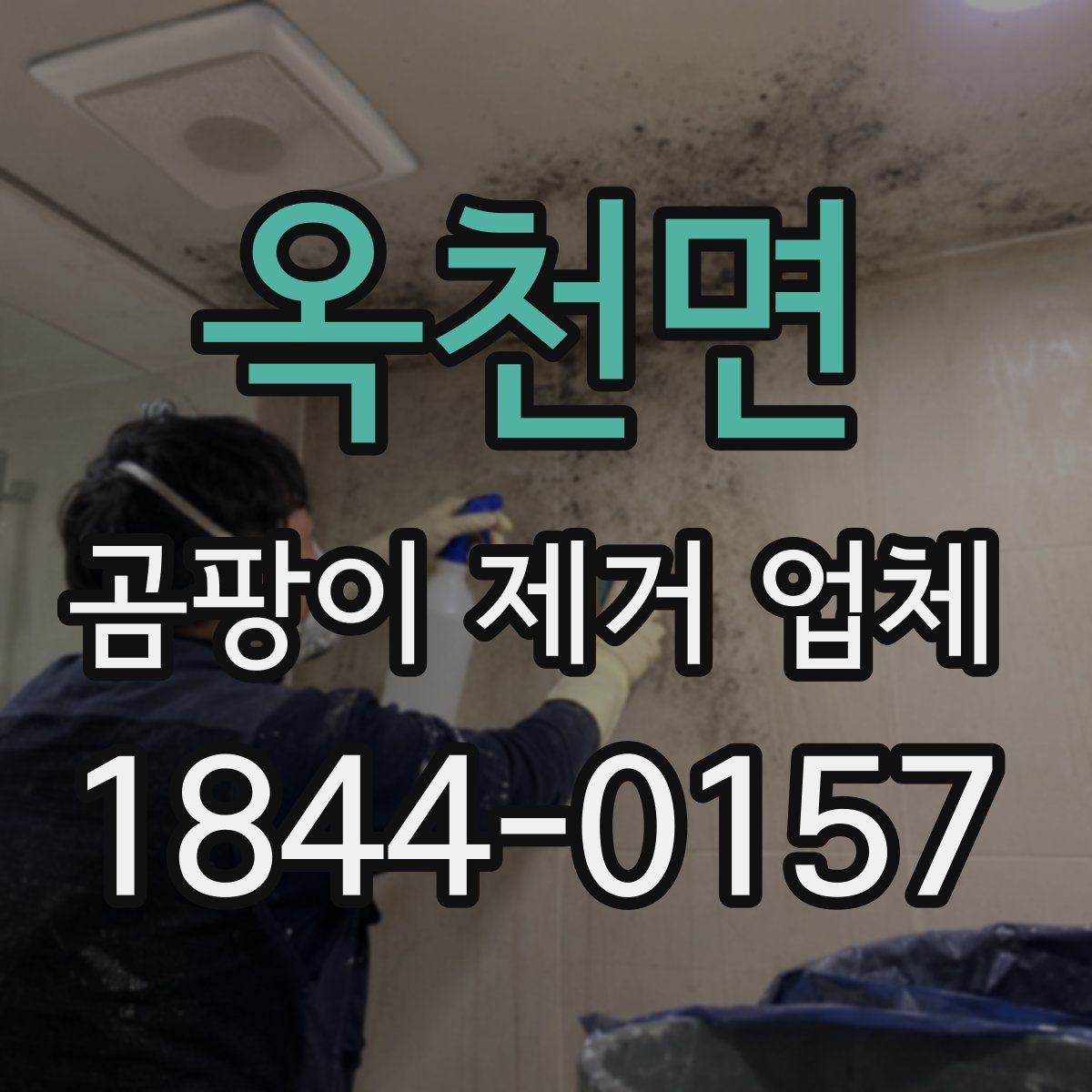 옥천면 곰팡이 제거 업체