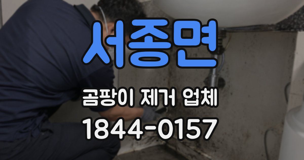 서종면 곰팡이 제거 업체