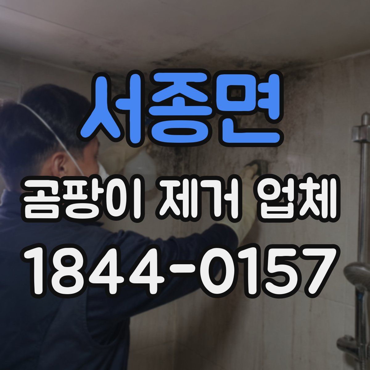 서종면 곰팡이 제거 업체