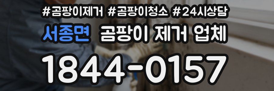 서종면 곰팡이 제거 업체