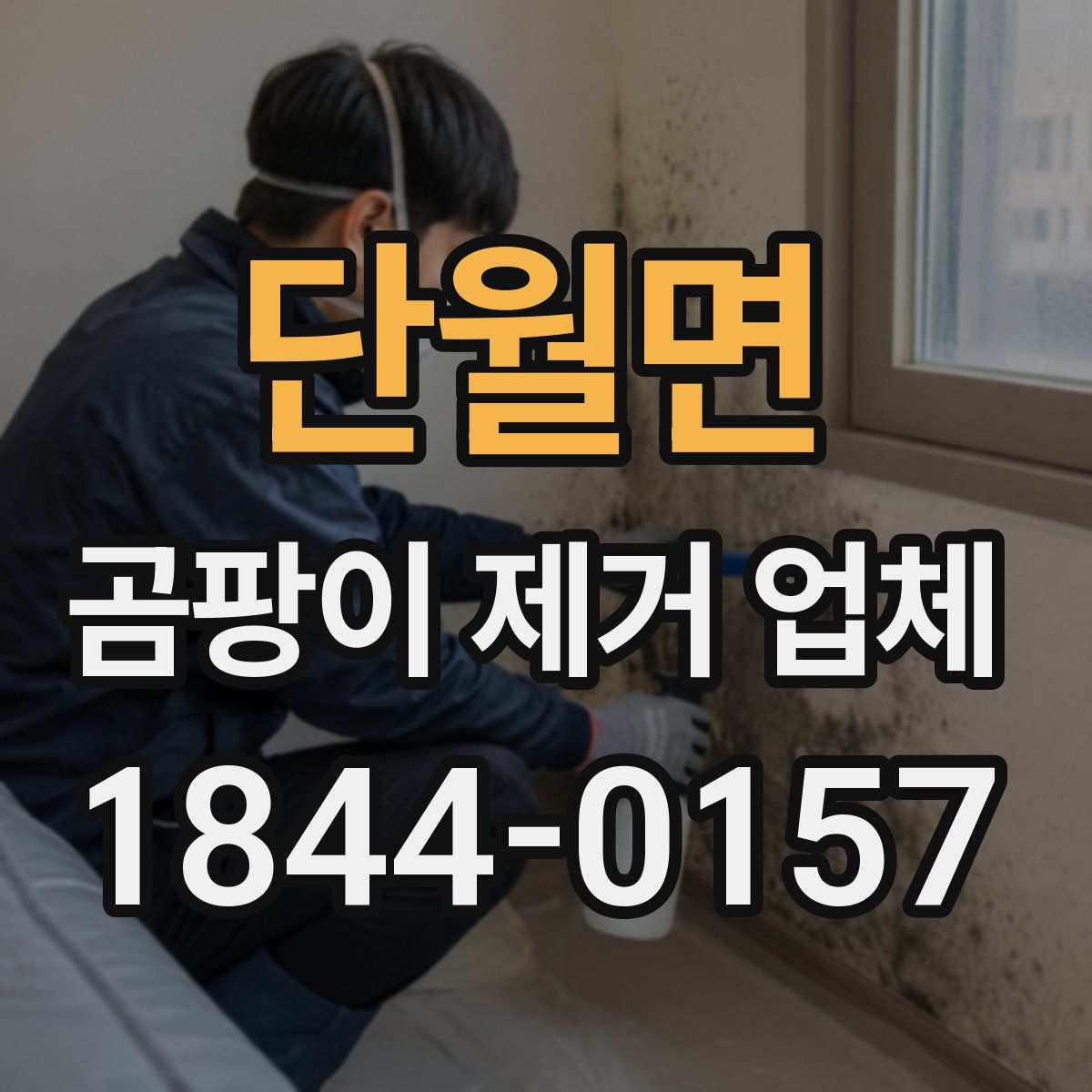 단월면 곰팡이 제거 업체