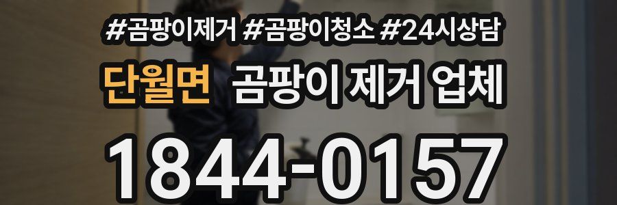단월면 곰팡이 제거 업체